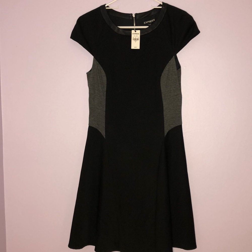 NWT Express Dress